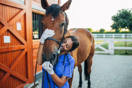 Woman hugging a horse